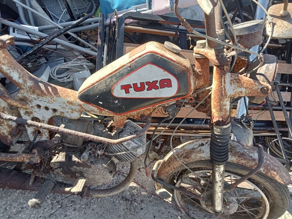 Casal tuxa sem documentos