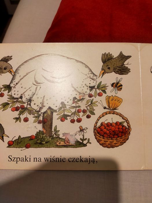 Książka dla dzieci DDR 1988