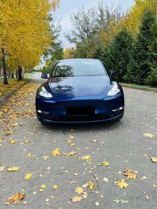 Tesla Model Y 2021 80.5 kWh Dual Motor AWD