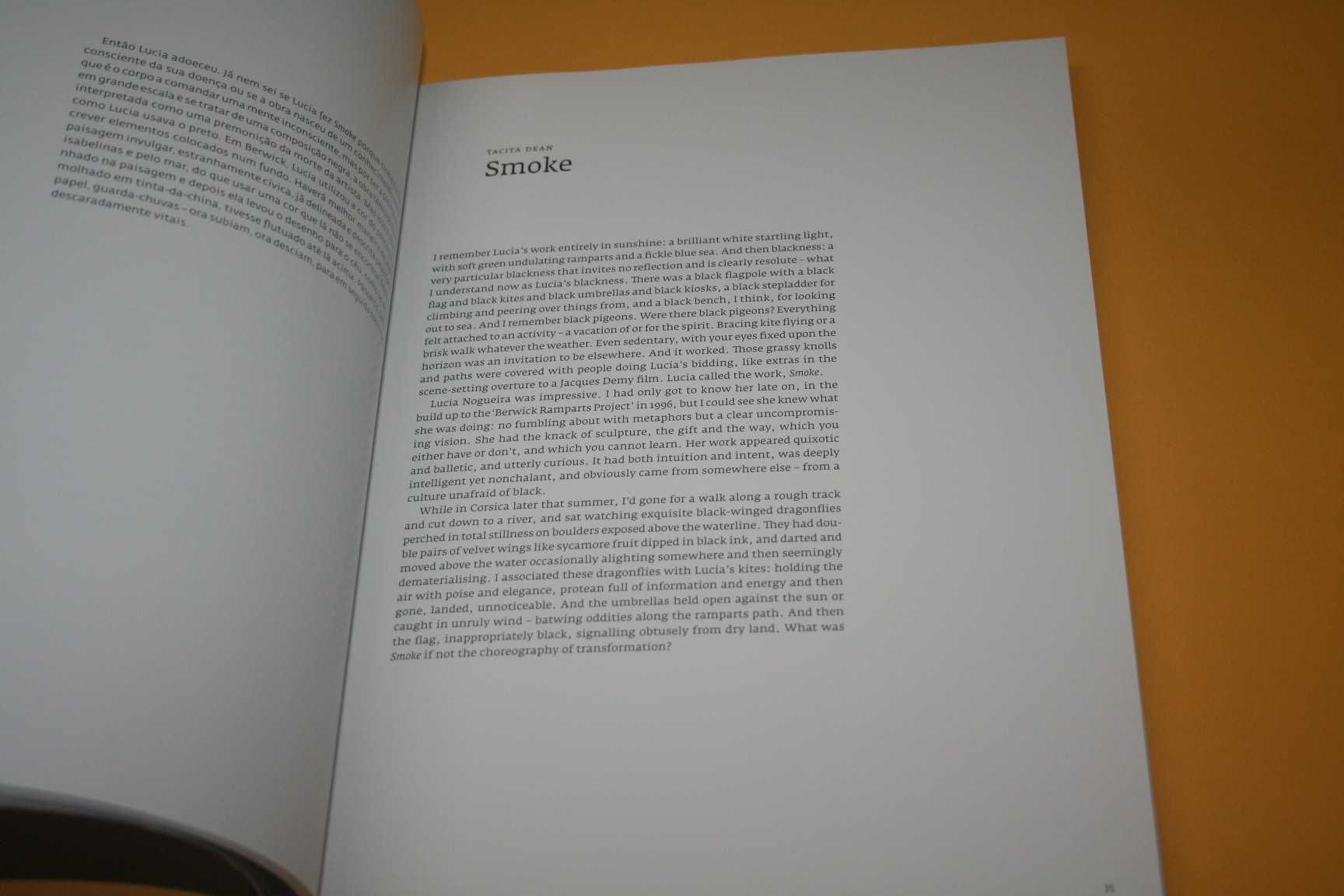 [] Lucia Nogueira - Museu Serralves