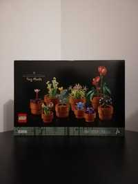 LEGO Kolekcja Botaniczna 10329 Małe Roślinki