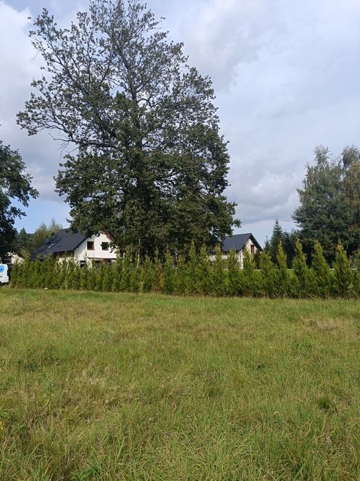 Działka budowlana 0.0795 ha Miedzyrzecze