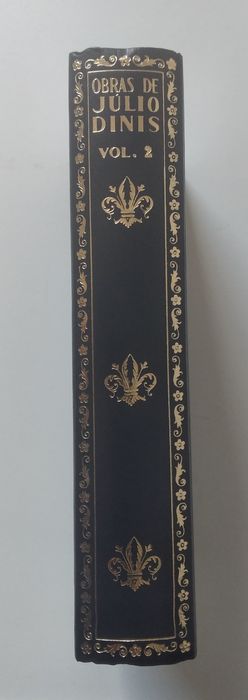 Júlio Dinis - livro n°. 2 encadernado em pele - 20€