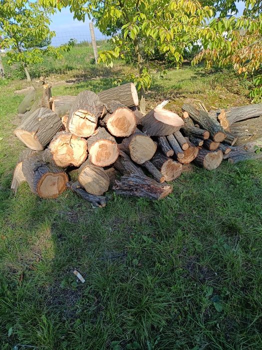 Drewno na opał iwanowice