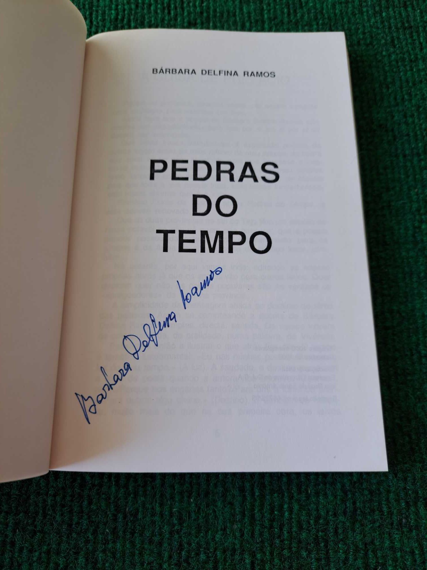 Pedras do Tempo - Bárbara Delfina Ramos