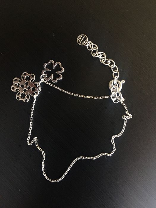 Srebrna bransoletka koniczynka - flora