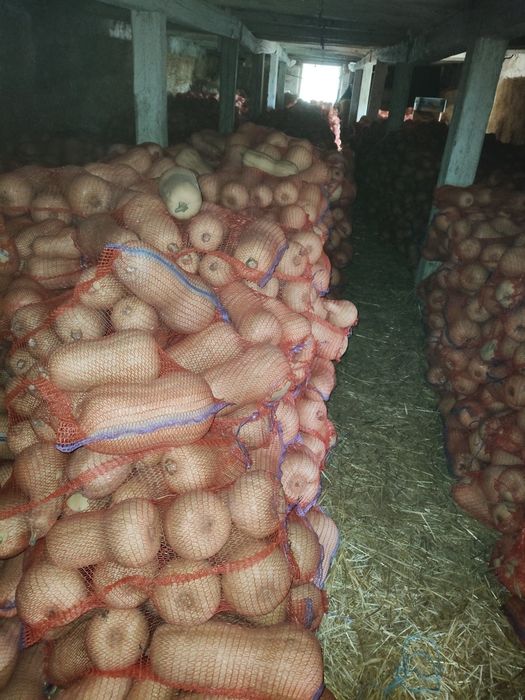 Ромашка и Баттернат