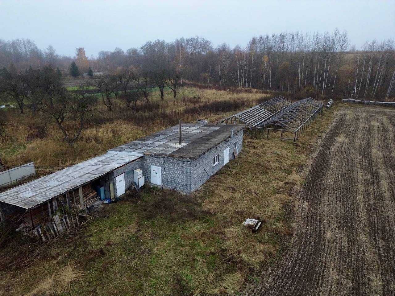 Продаж равликової ферми