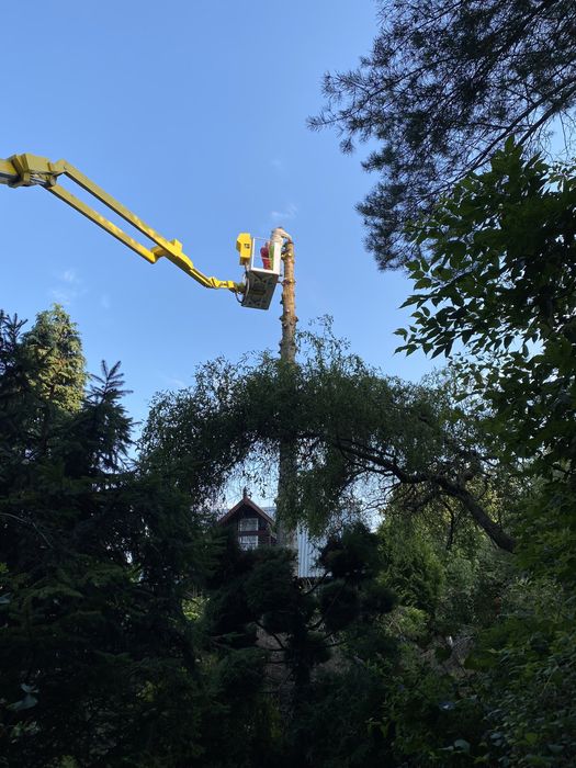 Wycinka drzew, karczowanie,usługi rębakiem, wynajem koparko ladowarki