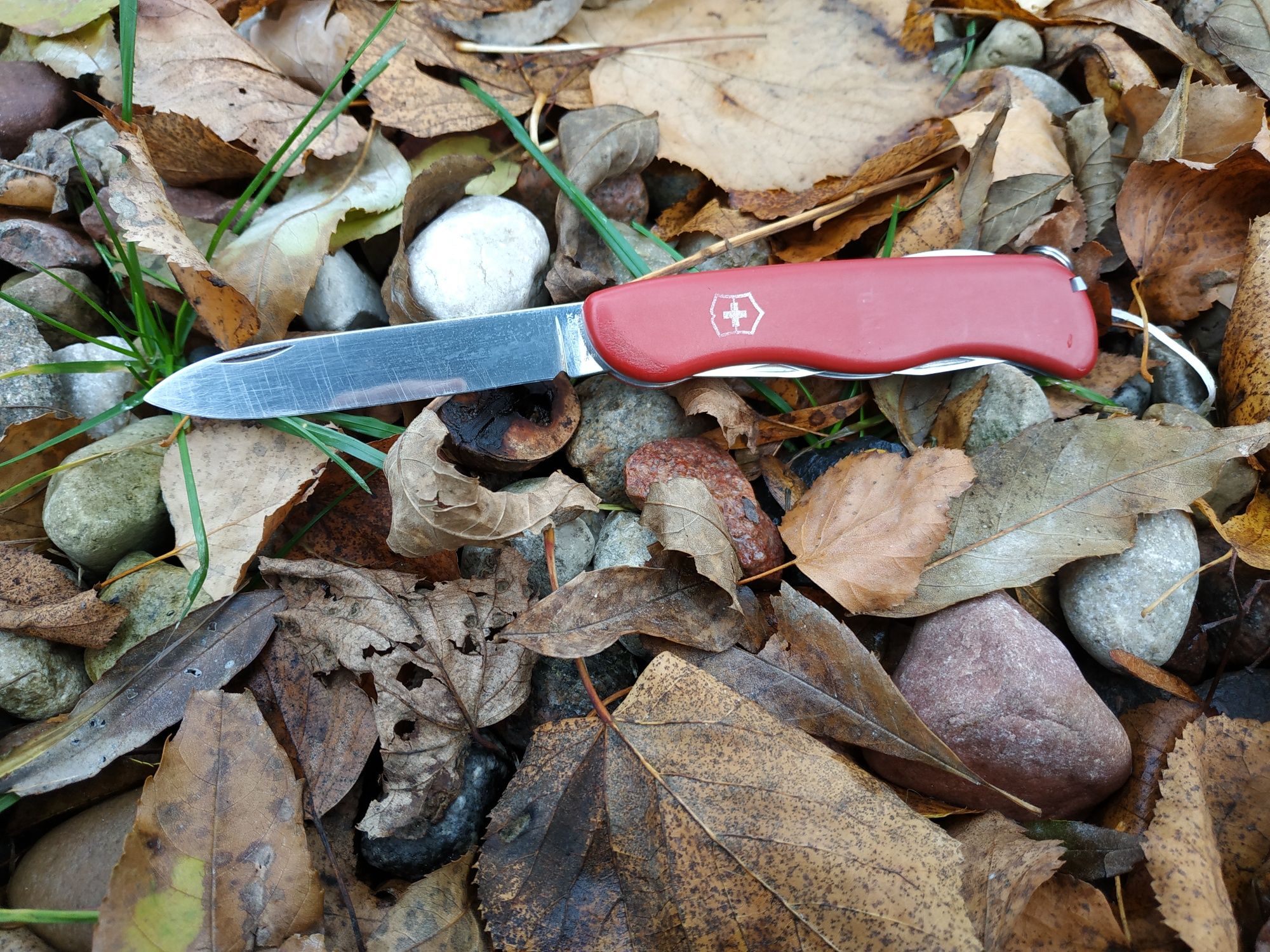 Scyzoryk Victorinox Picknicker