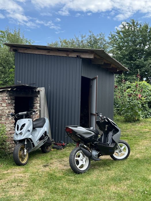 Malaguti F12 Phantom на документах