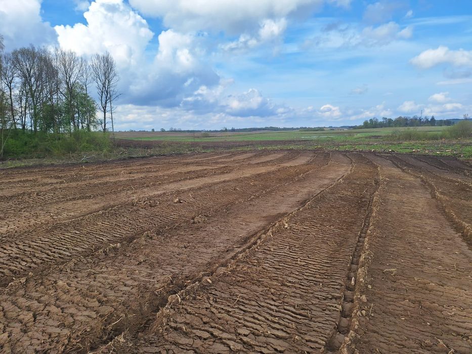 MulczerLesnyWgłębnyWycinkaDrzewSamosiewówPraceZiemneUsługiKoparką