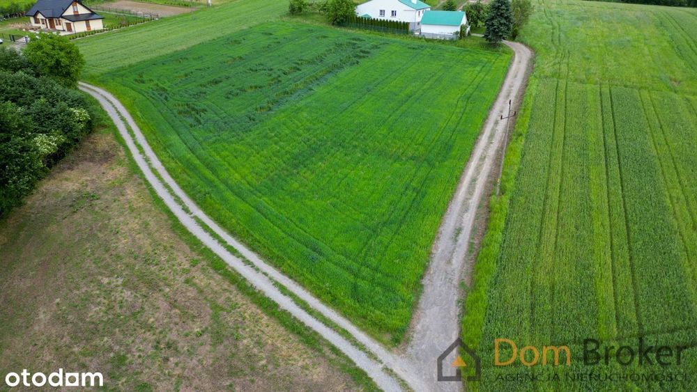 Działka budowlana 12 ar w Podgrodziu-wydane pozwolenie na budowę domu