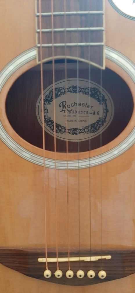 Viola acústica   .