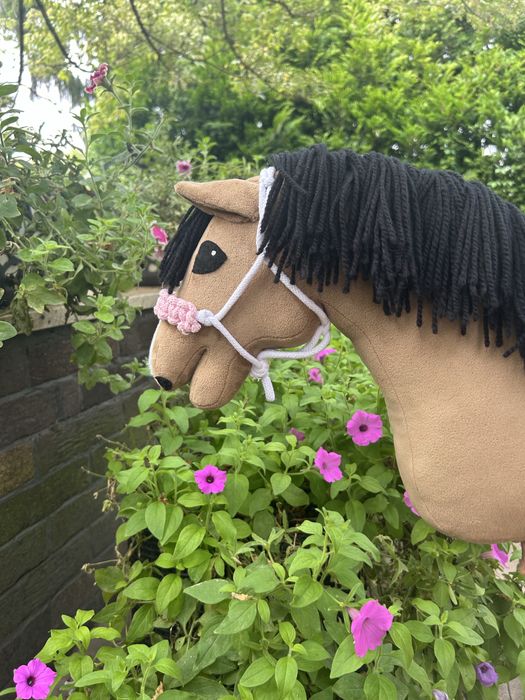 Hobby horse u Agi