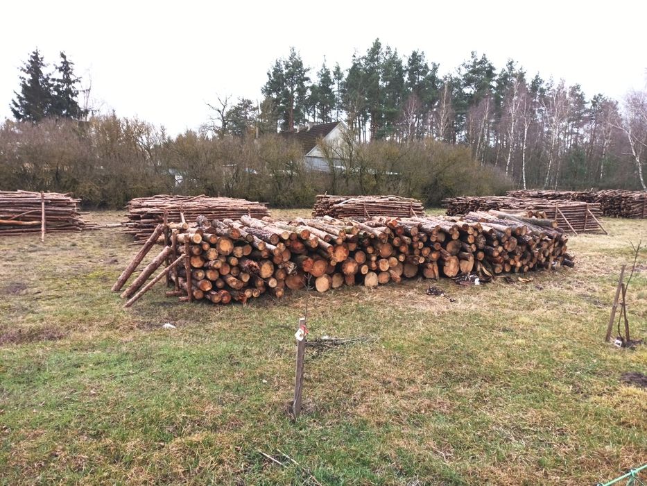 Drewno opałowe sosna gałęziówka/wałki