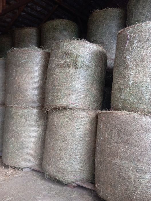 Sprzedam Siano tegoroczne