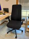 Haworth Fern - Black - Sem lumbar support