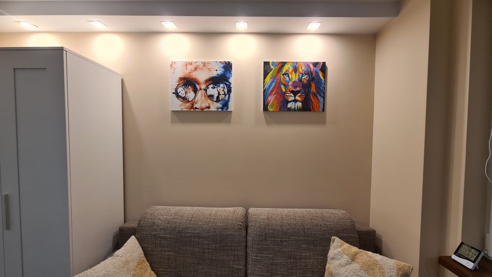 Dwa obrazy 50x40