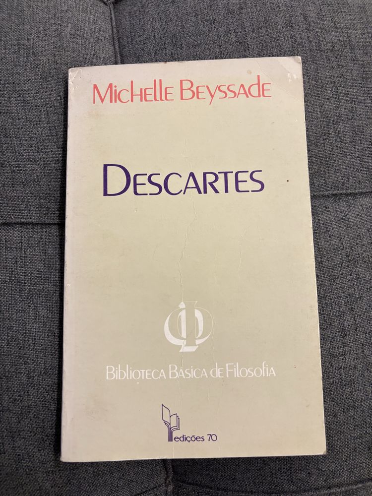 Descartes Michelle Beyssade