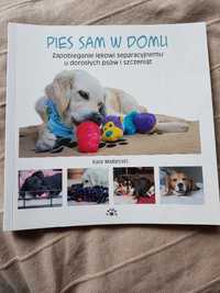 PIes sam w domu