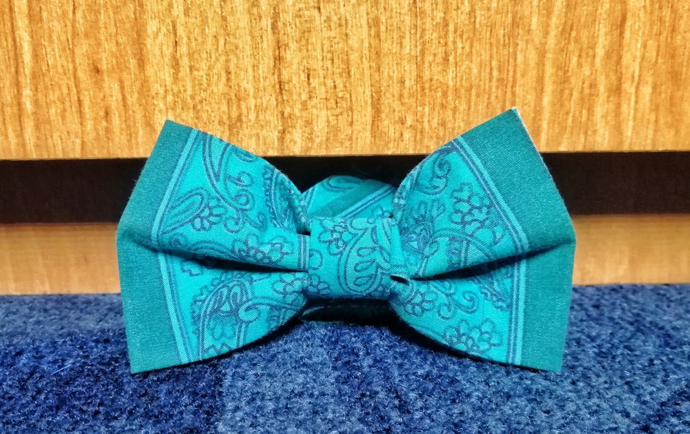 Мужские бабочки: чёрные / голубые