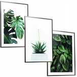 3x 50x40 A2 ZESTAW OBRAZ W RAMIE PLAKATY RAMKA boho monstera natura