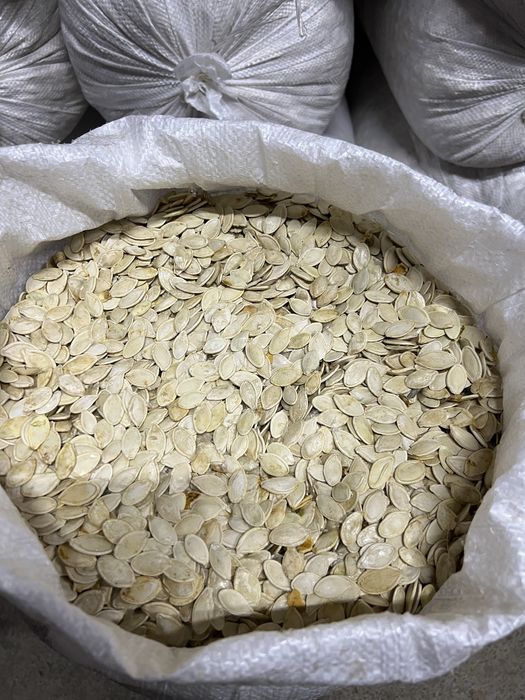 Продам гарбузове насіня