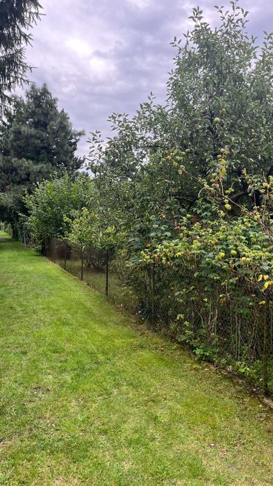 Działka ROD Malwa w Milanówku (ul. Turczynek)