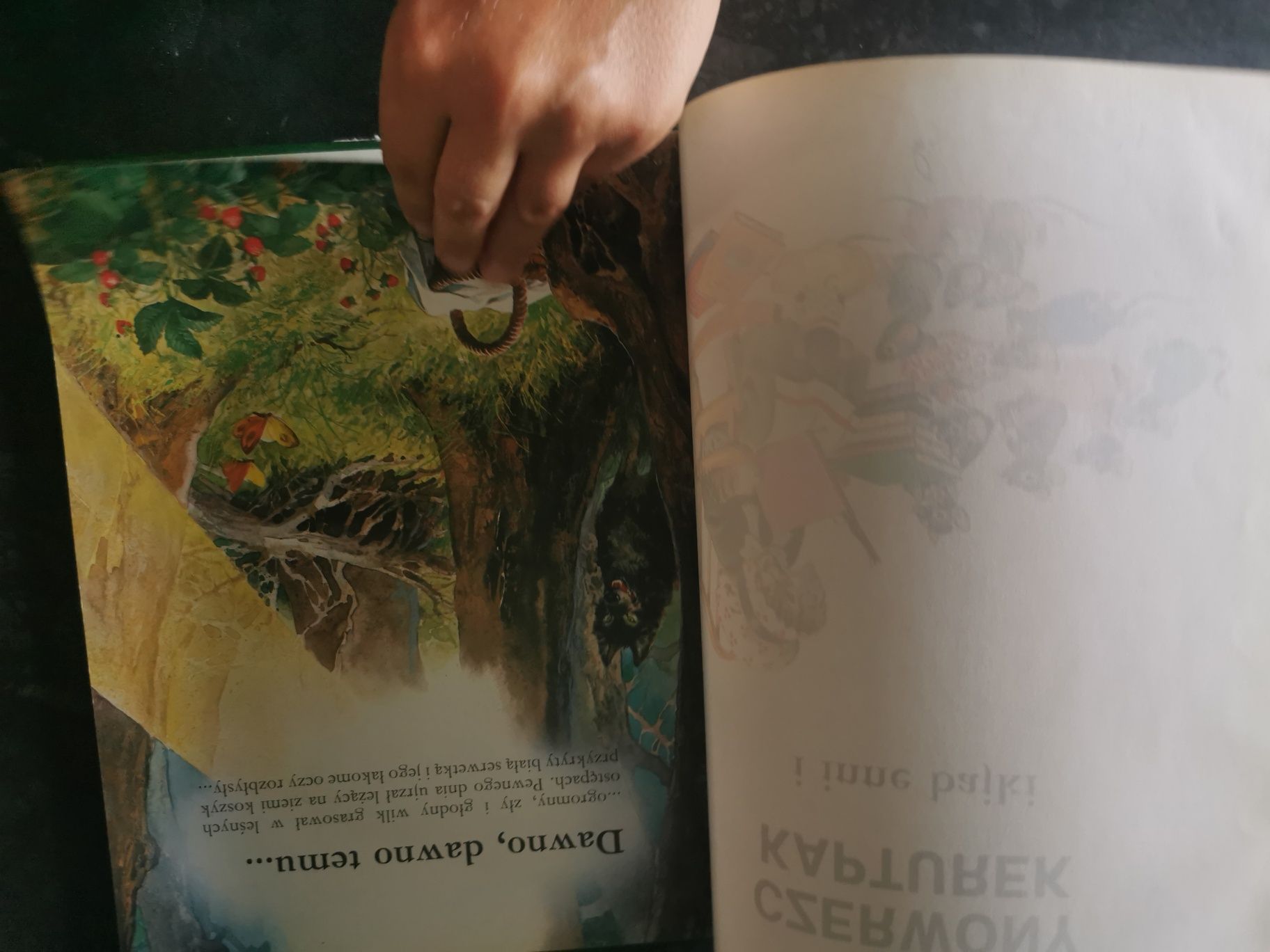 Książka złota encyklopedia bajek czerwony kapturek 1991 bgw