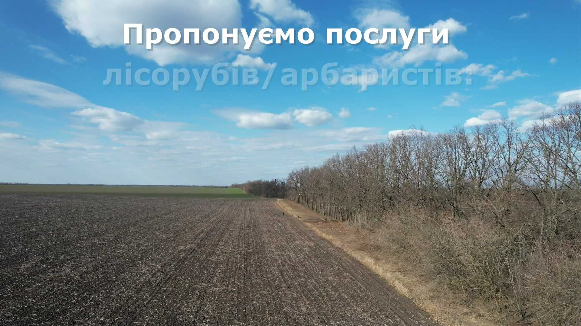 Послуги лісорубів/арбаристів