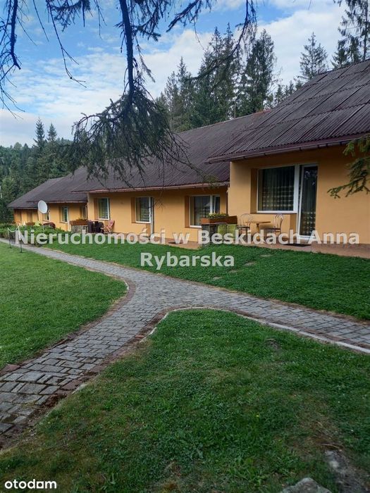 "Gronostaj " góry ,las ,cisza .