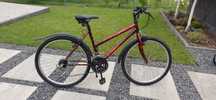 Rower  damka 26cali
