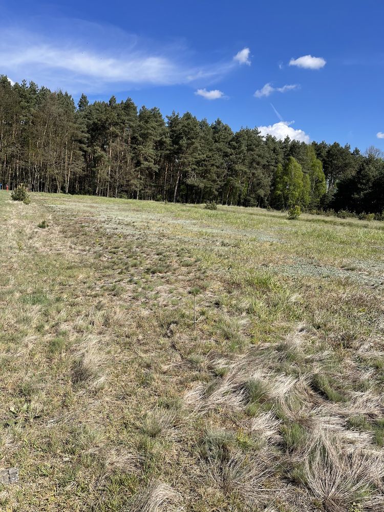 Działka budowlana pod lasem w Ożarowicach 1879 m2