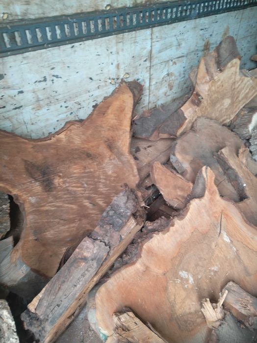 Розпродаж Слеб, сляб, орех, акация корінь ореха поперечний срез