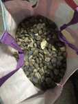 Vende se pedras quartzo / agatas em bruto