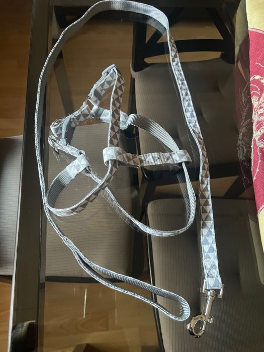 Coleira e Arnês para cão