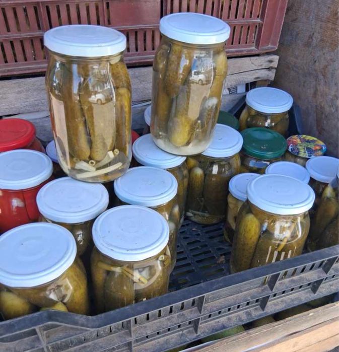 Ogórki Kiszone domowej receptury :)