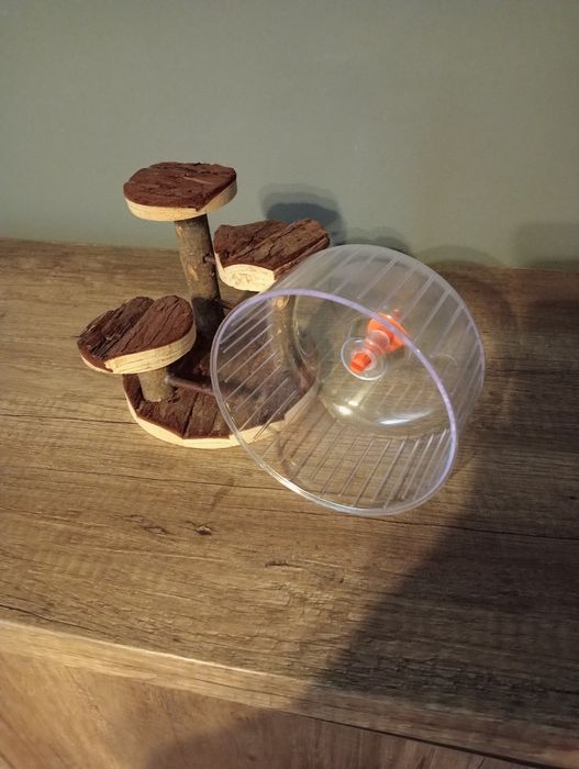 Kołowrotek dla chomika