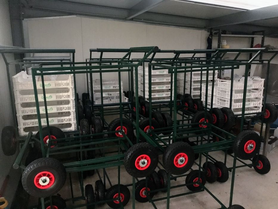 Carrinhos de colheita de pequenos frutos