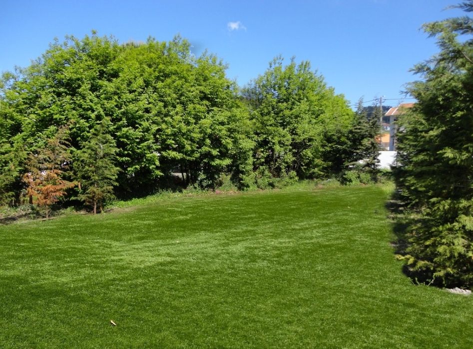 Apartamento T0 - Mobilado e despesas incluídas