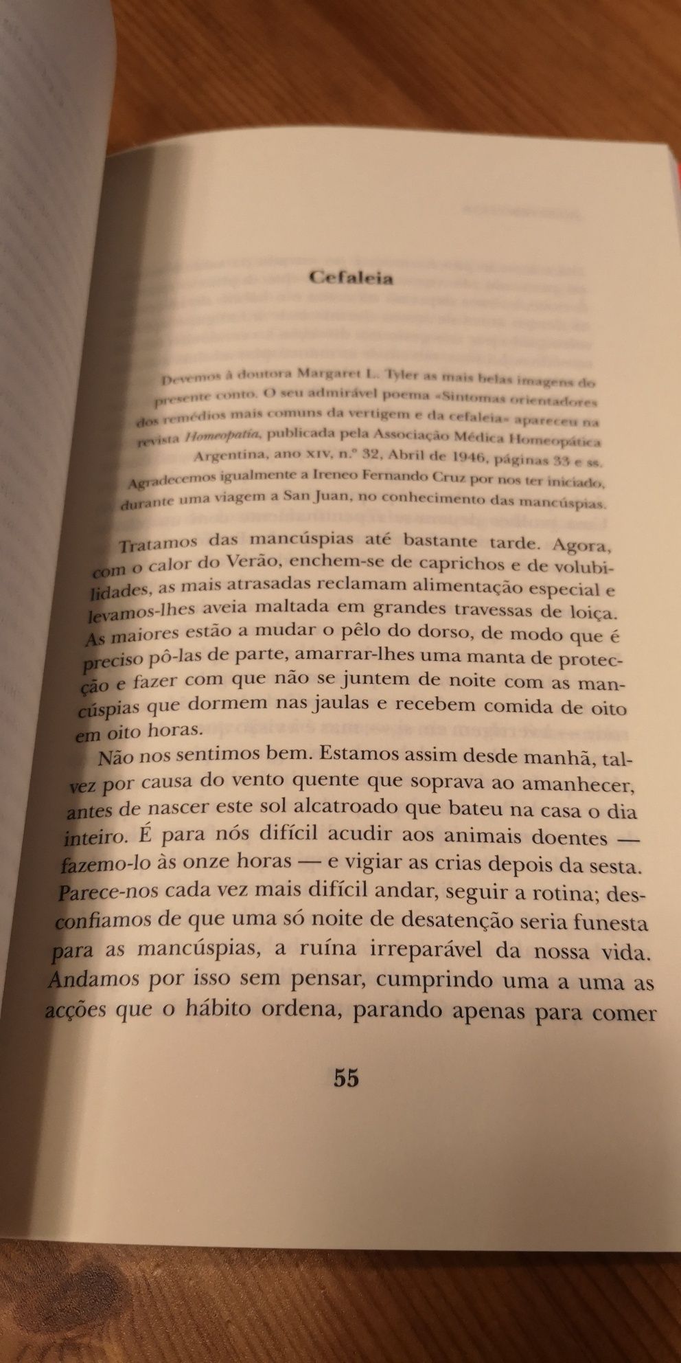 "Bestiário" Contos de Júlio Cortázar, LIVRO NOVO