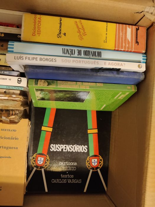 Lote 50+ livros - anos 70/80/90/00