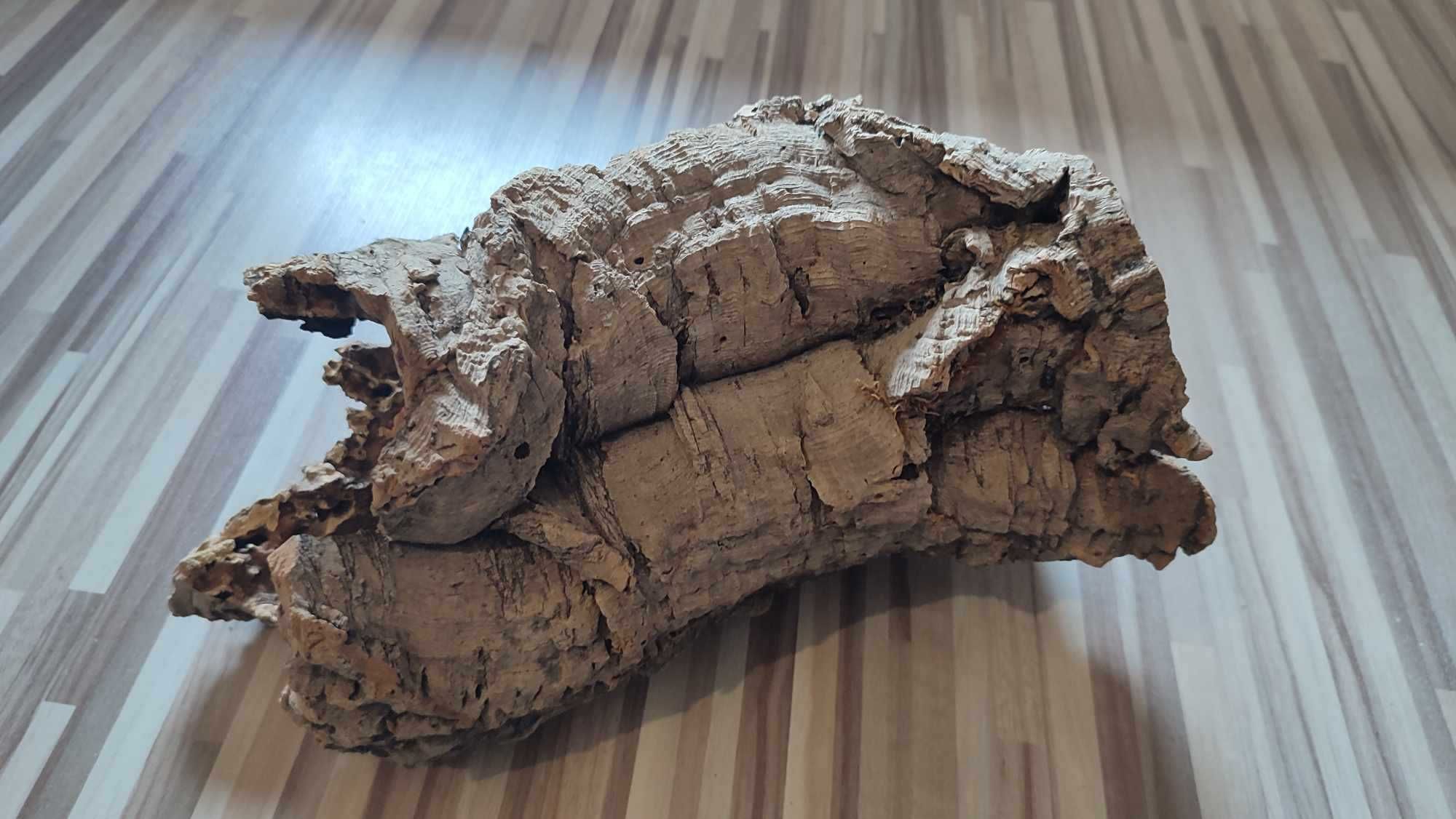 Konar do terrarium dla gekona, duży