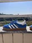 Gazzelle indoor Originais