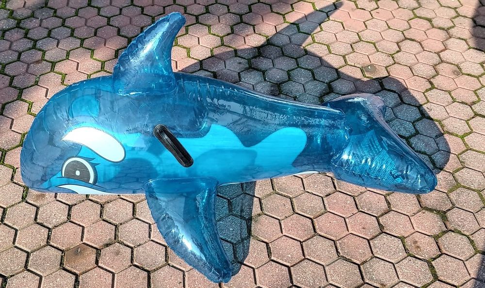 Dmuchany waleń, delfin do pływania nad wodę.