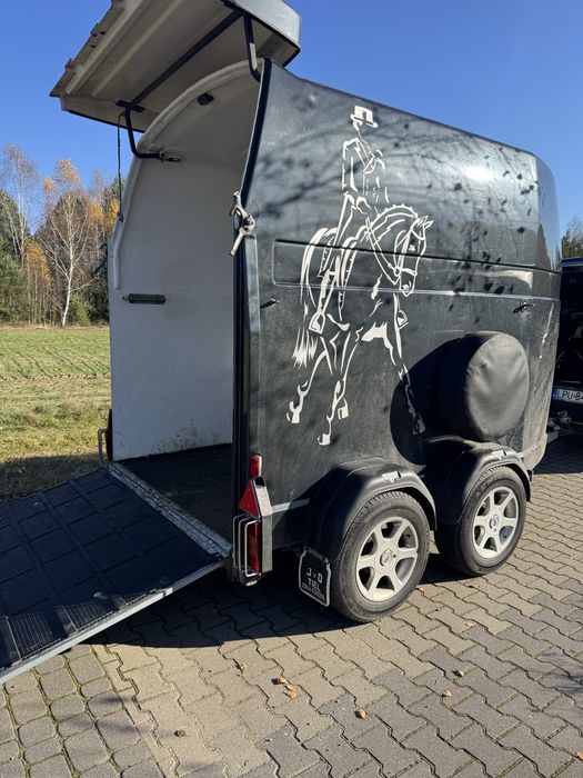 Transport koni - zwierząt 24 h /7 .