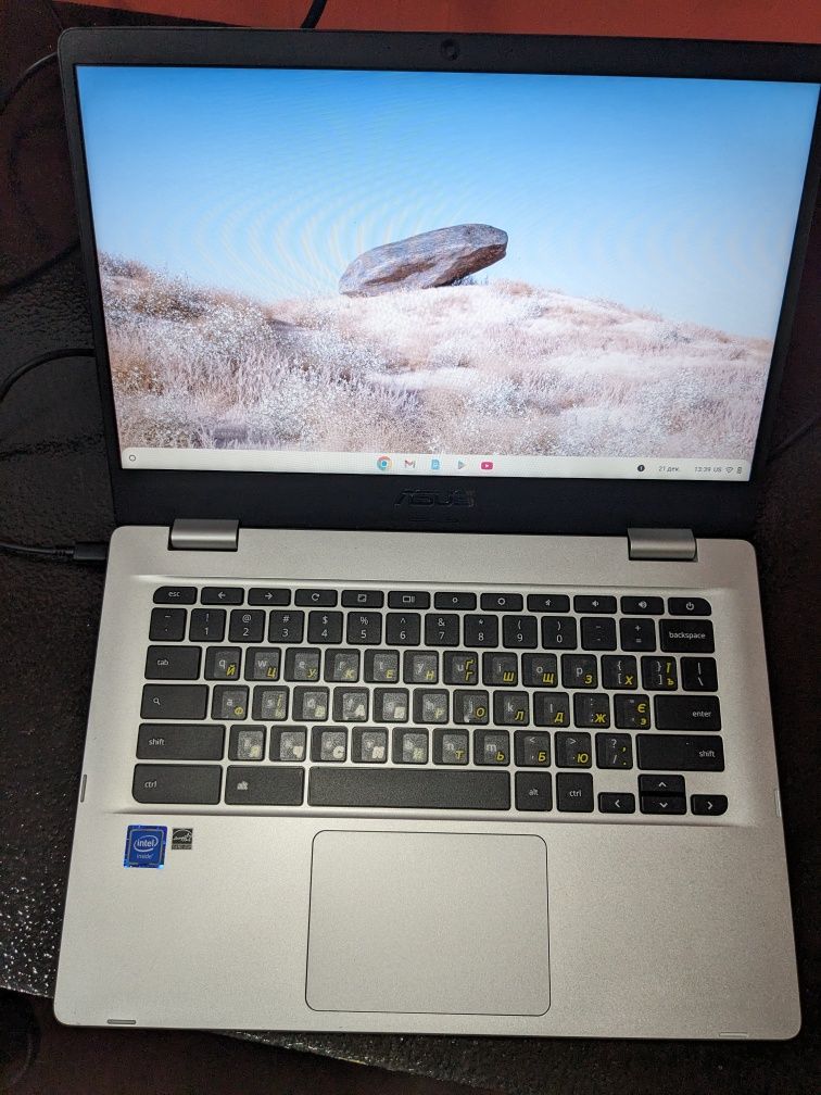 Ноутбуки Asus c423n