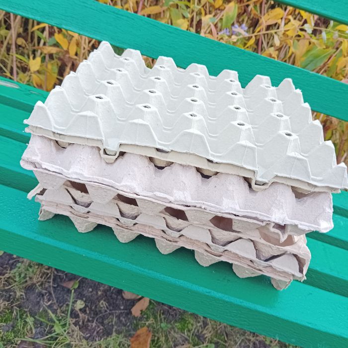 5. Kratki/wytłaczanki ,, 30 " 8 sztuk