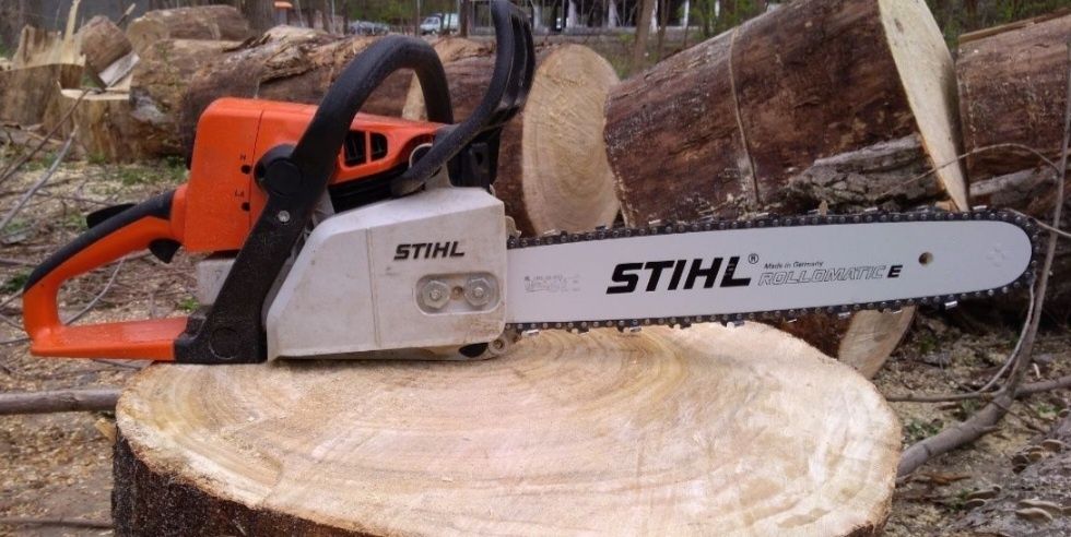 Зрізання та обрізка дерев. Арборіст